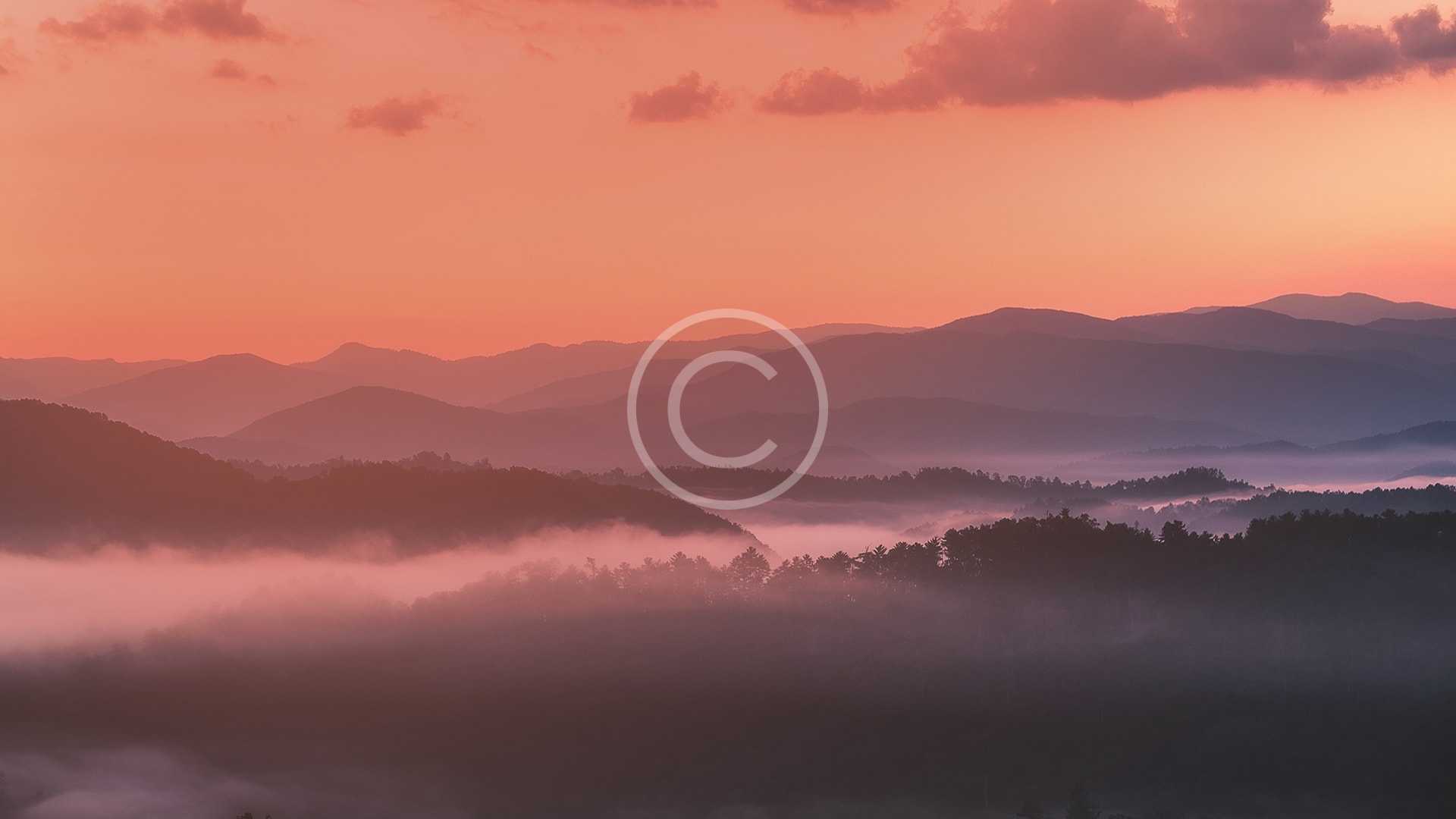 What is Your Favorite Type of Climate?