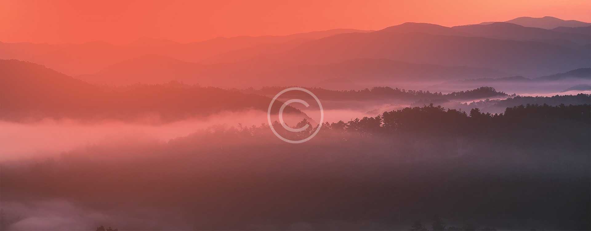 Stream Shop
